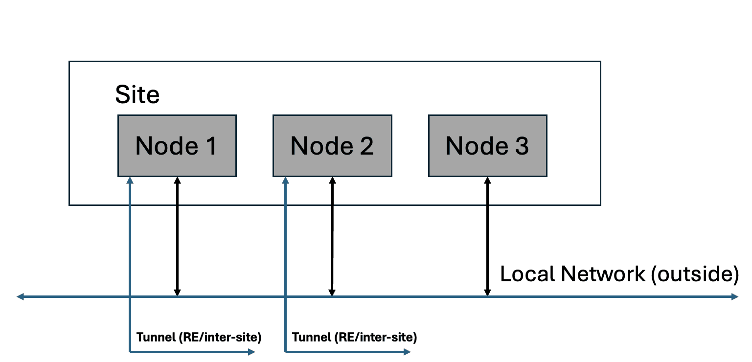 Figure: Site with Single Interface