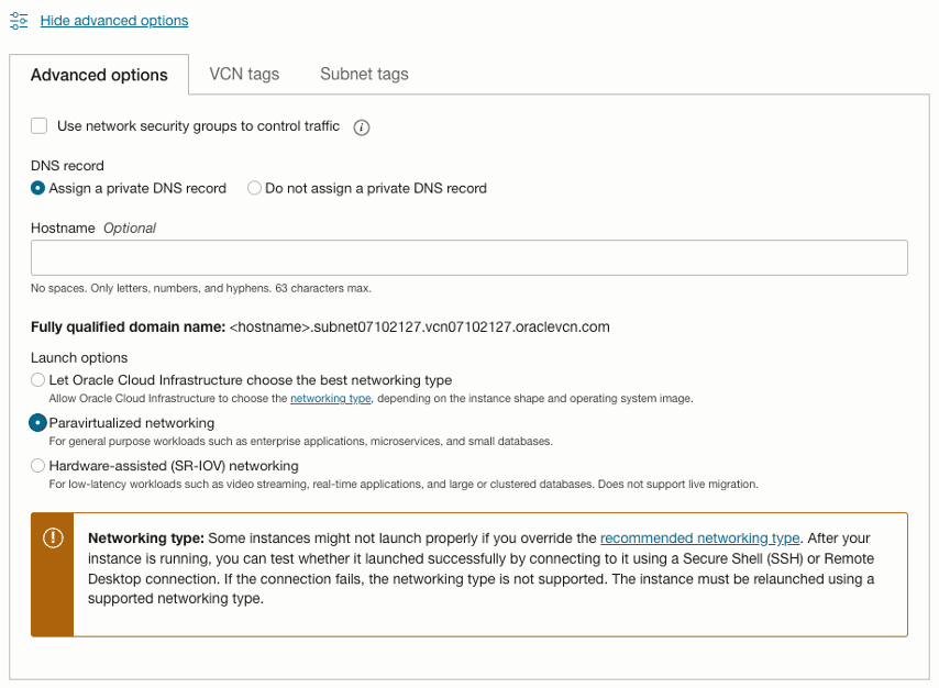 Figure: Instance Advanced Options