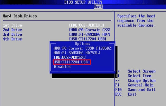 Figure: Selection of Primary Boot Device