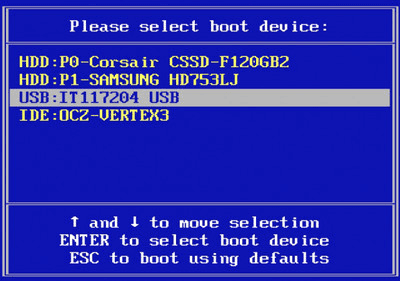 Figure: Selection of Boot Device During System Start