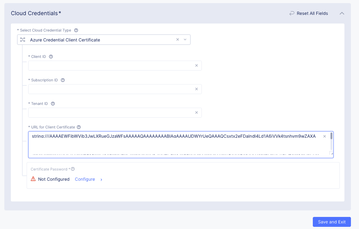 Figure: Entries for Azure Client Secret