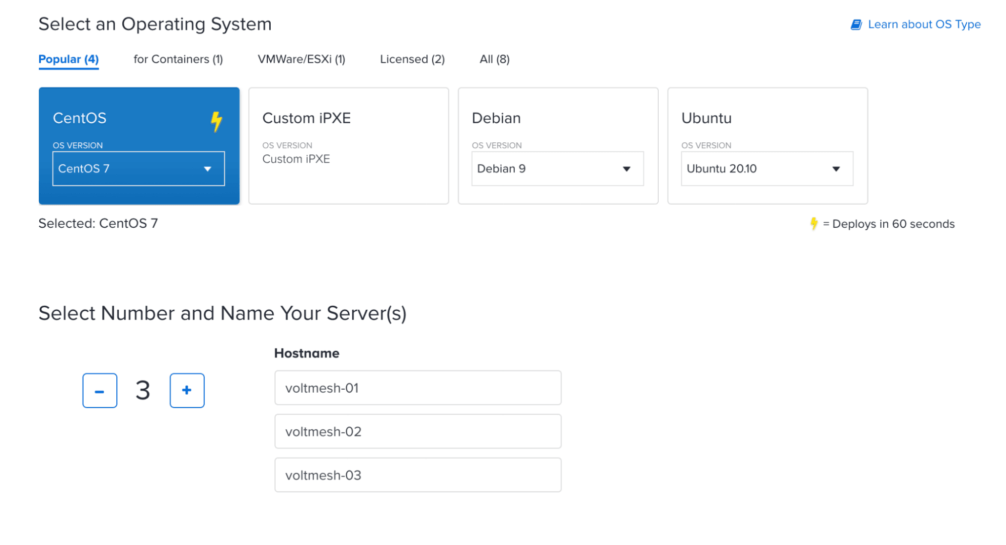Figure: Operating System and Server Names