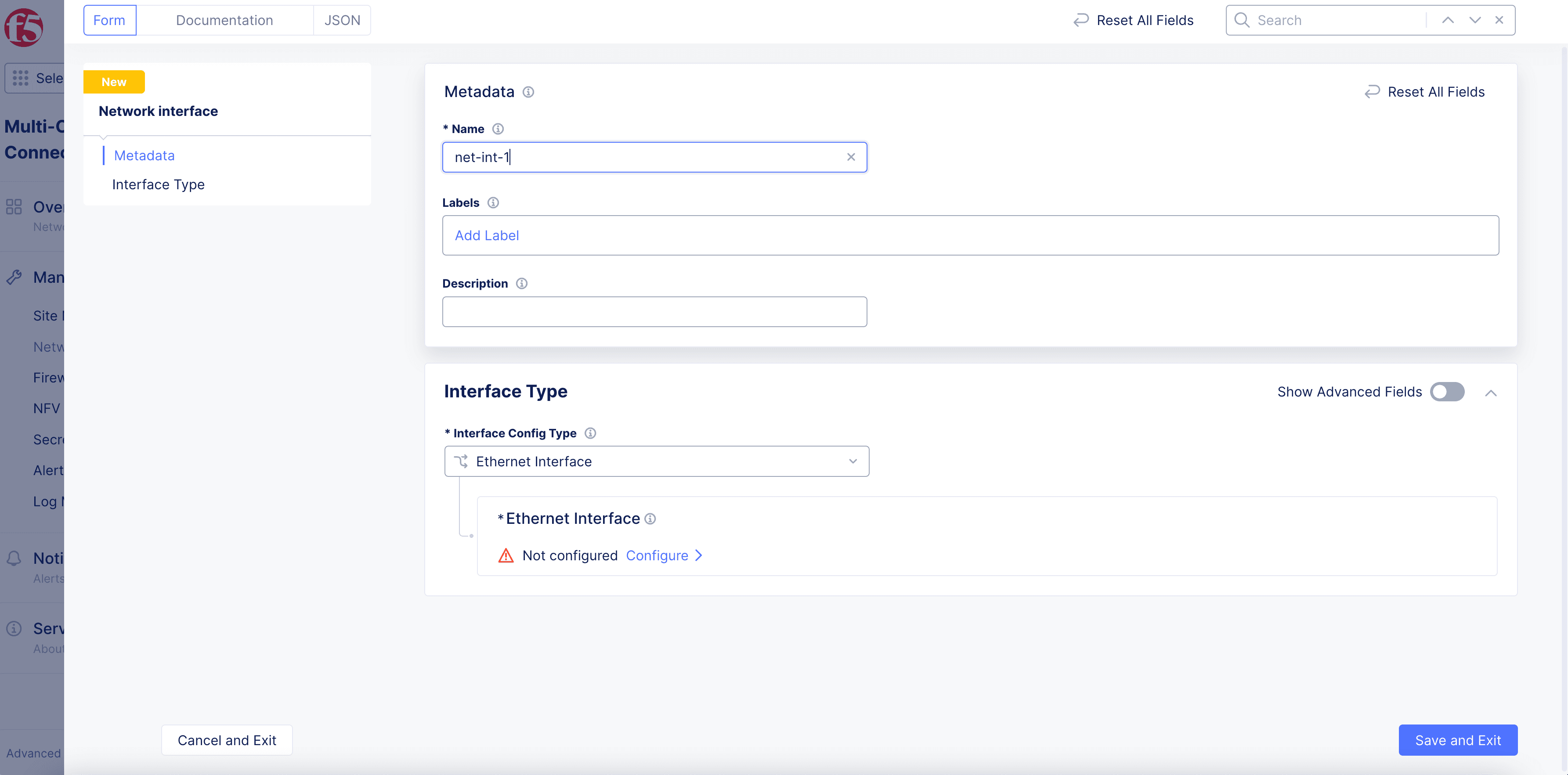 Figure: Network Interface Creation