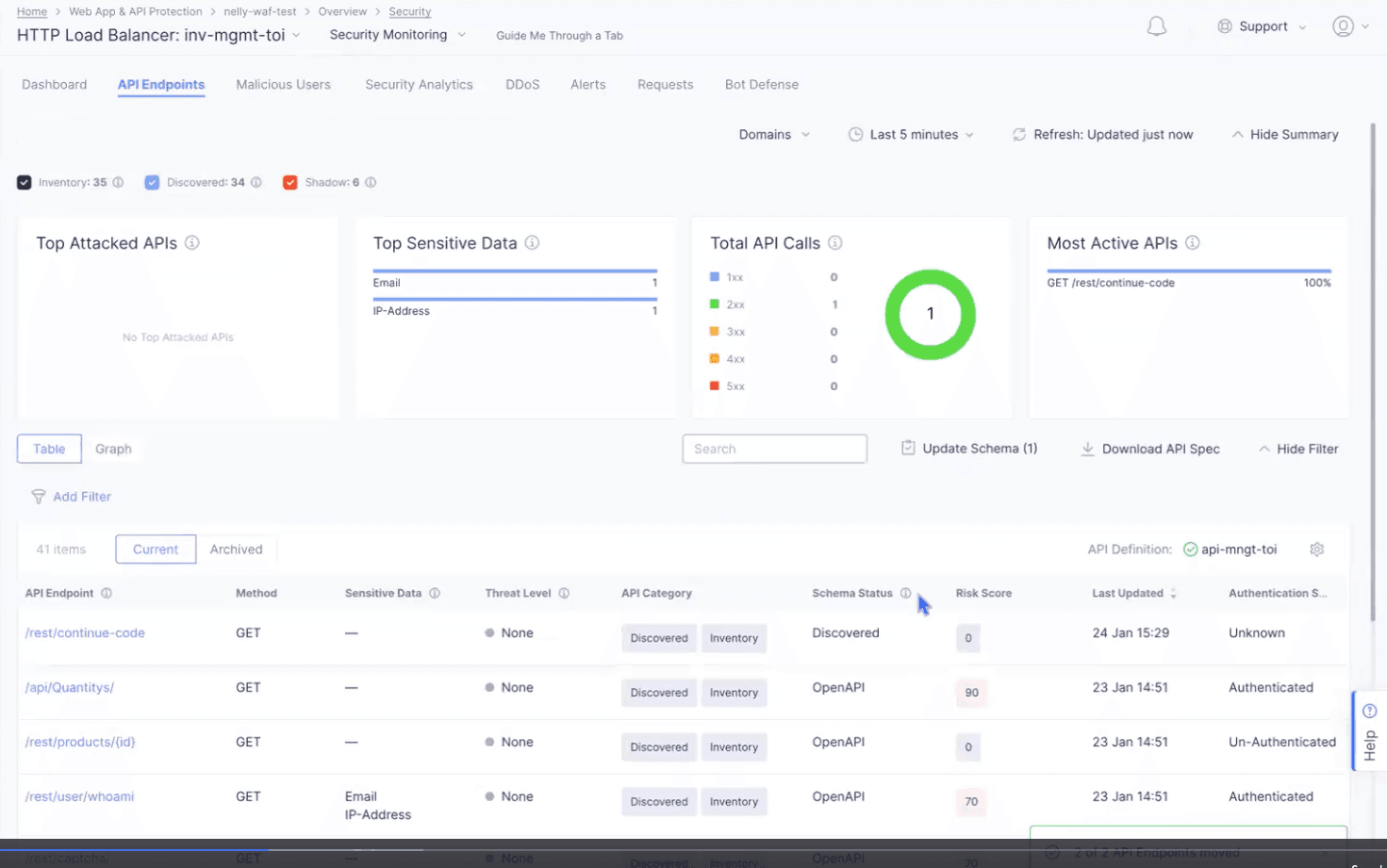 Figure: API Endpoints Table View