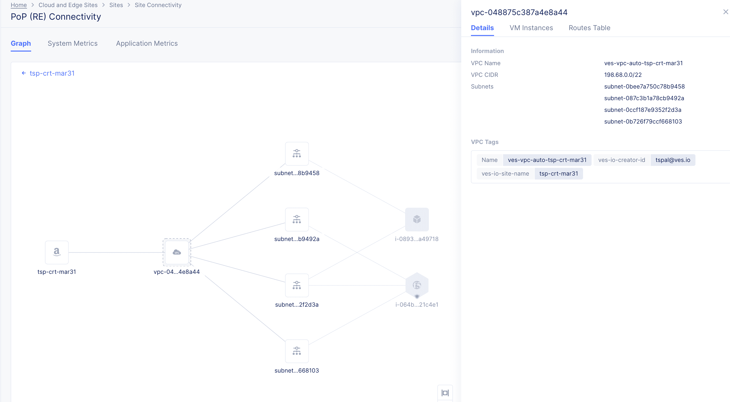 Figure: NFV Service VPC Topology View