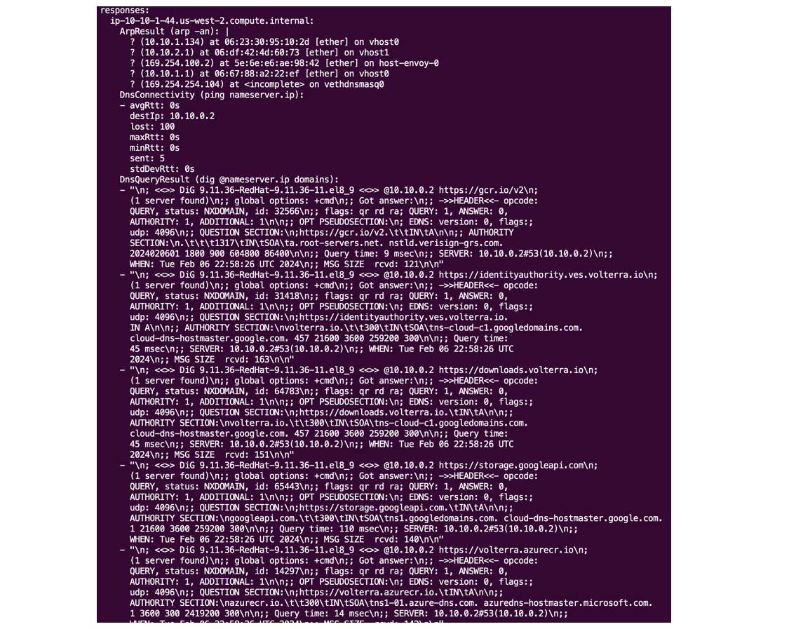 Figure: Diagnosis tool output