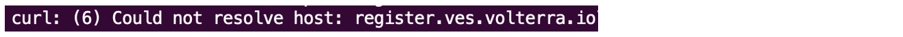 Figure: `Could not resolve host` message