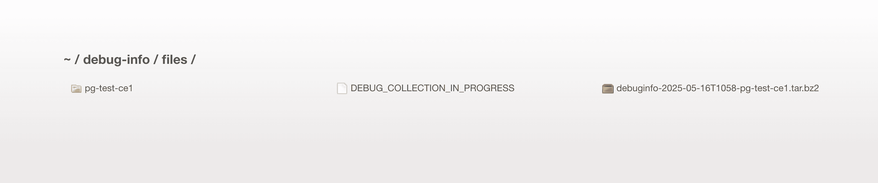 Figure: Browse to Debug File