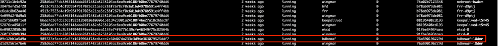 Figure: Cluster Health with execcli crictl-ps Command