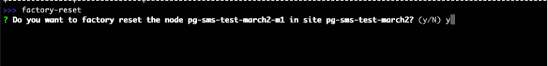 Figure: Factory Reset Command