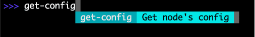 Figure: get-config Command