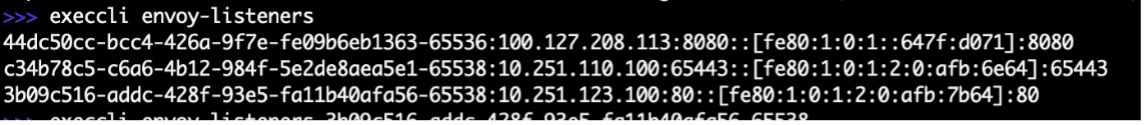 Figure: Check Load Balancer Listeners