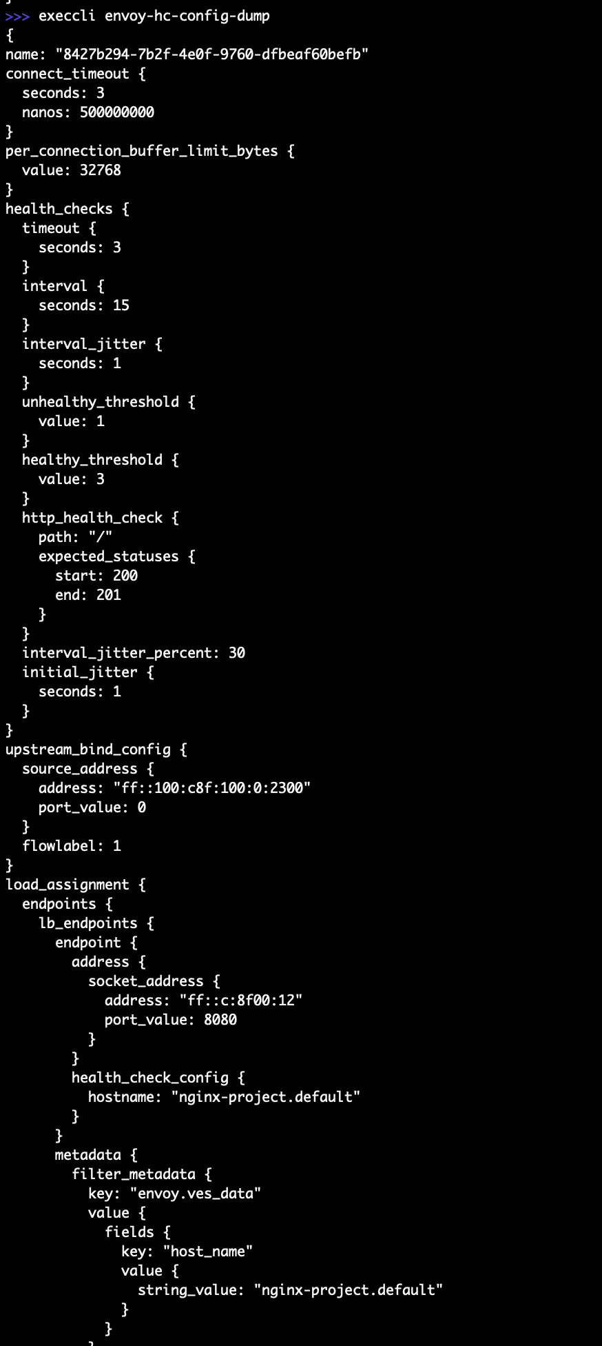 Figure: Raw Envoy Configuration