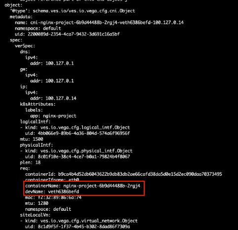 Figure: Identify POD Interface