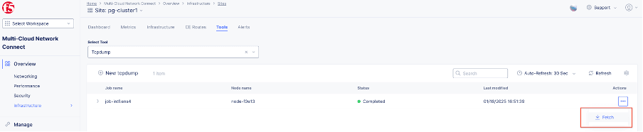 Figure: Download Output of Command