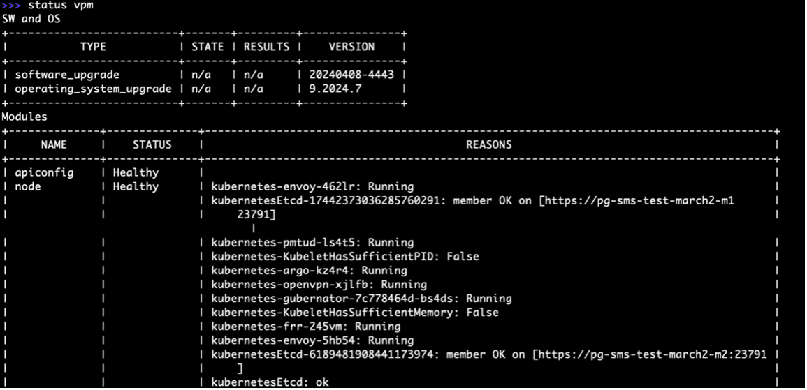 Figure: VPM Status Check