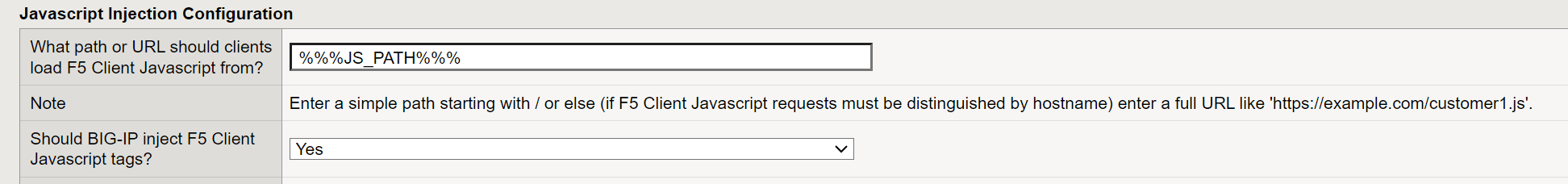 Figure: JavaScript Injection Configuration