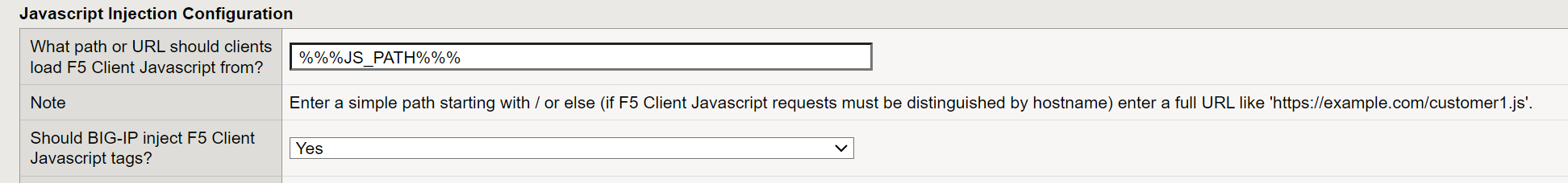 Figure: JavaScript Injection Configuration