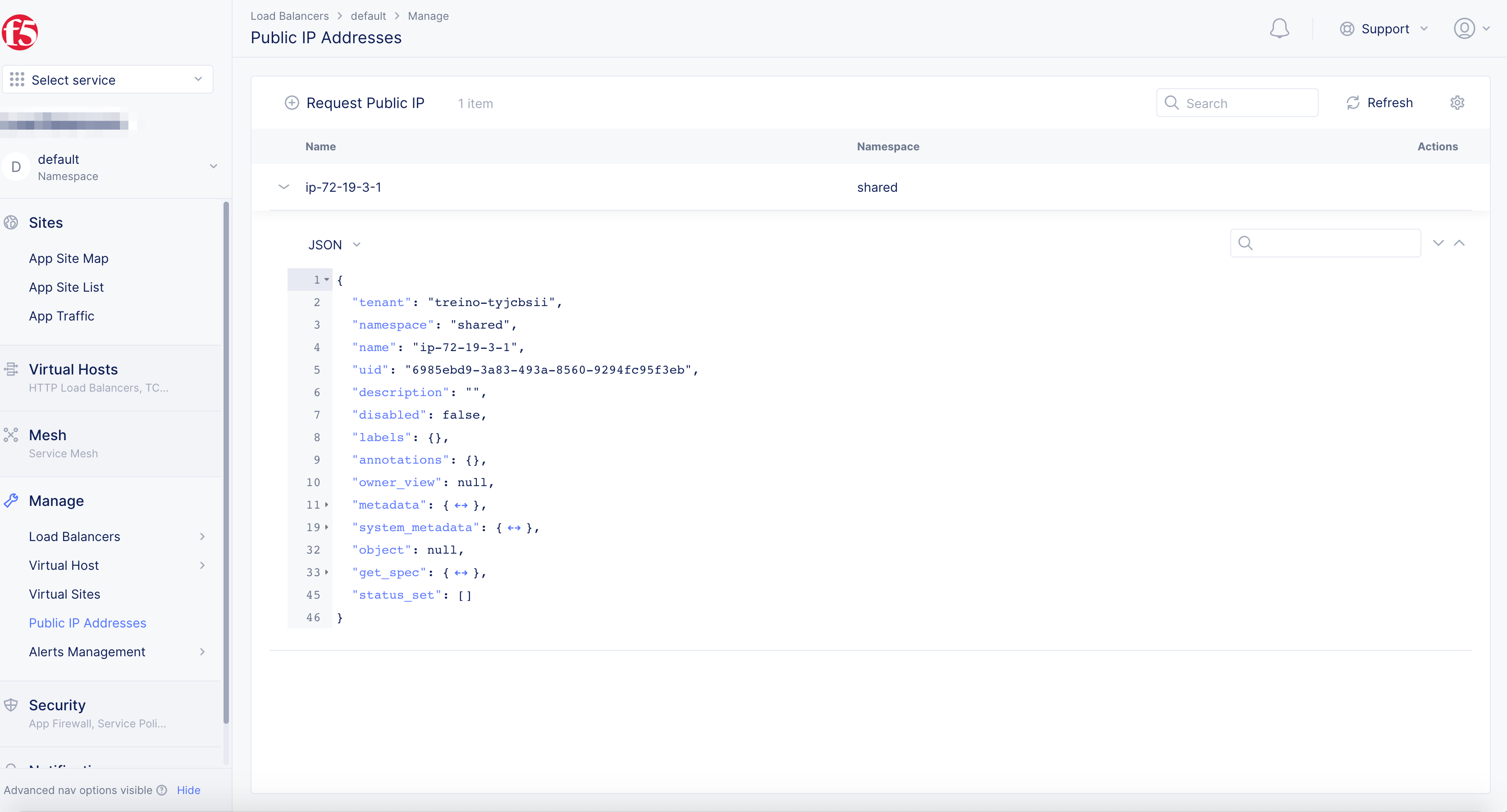 Figure: Public IP Address JSON