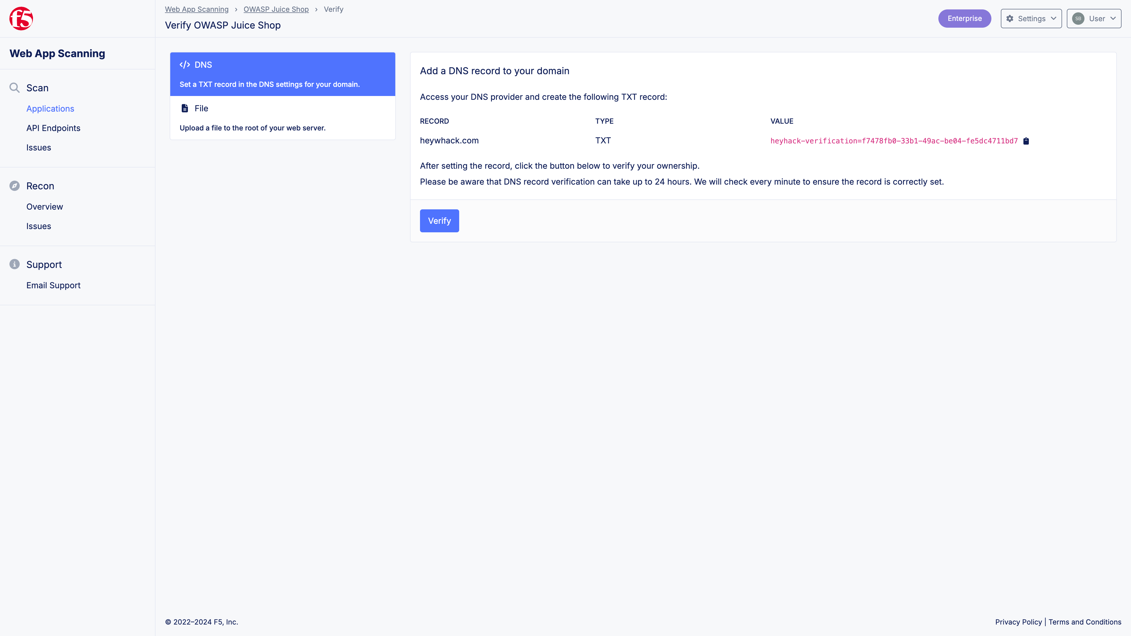 Figure: Domain Verification