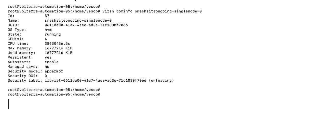 Figure: KVM - Verify size