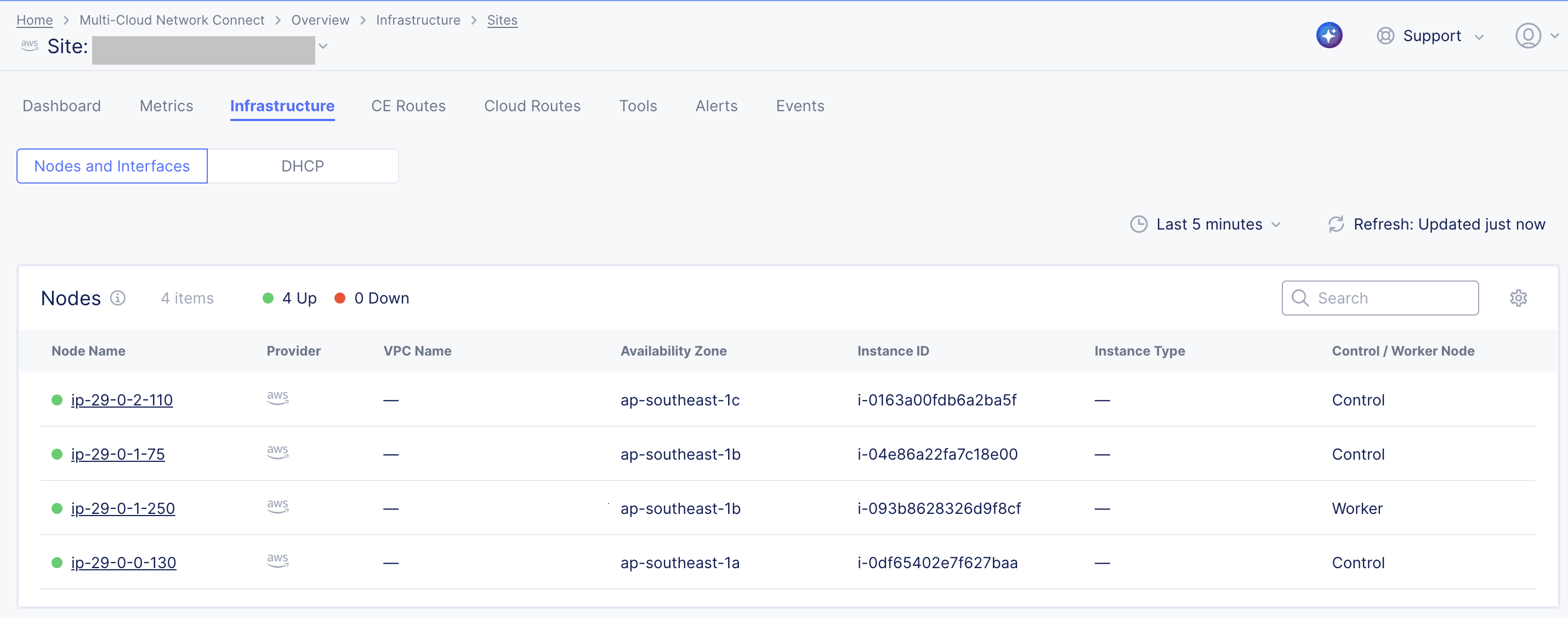 Figure: Site Infrastructure