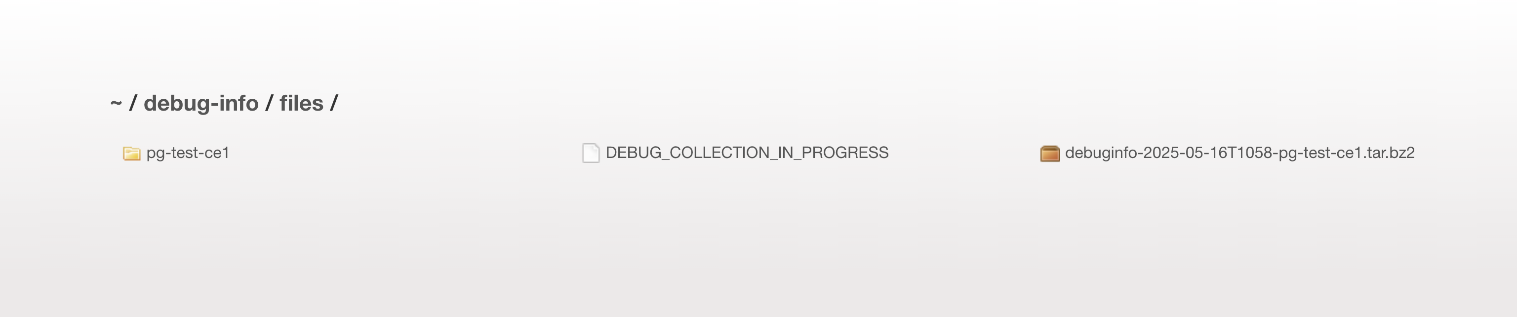 Figure: Browse to Debug File