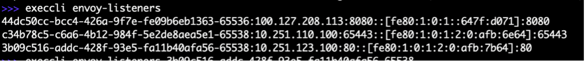 Figure: Check Load Balancer Listeners