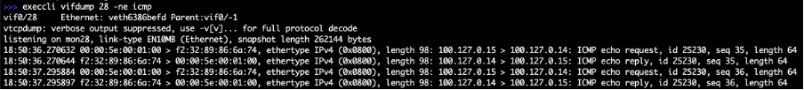 Figure: Interface ID to Capture Packets